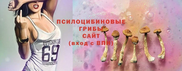 герыч Верхний Тагил