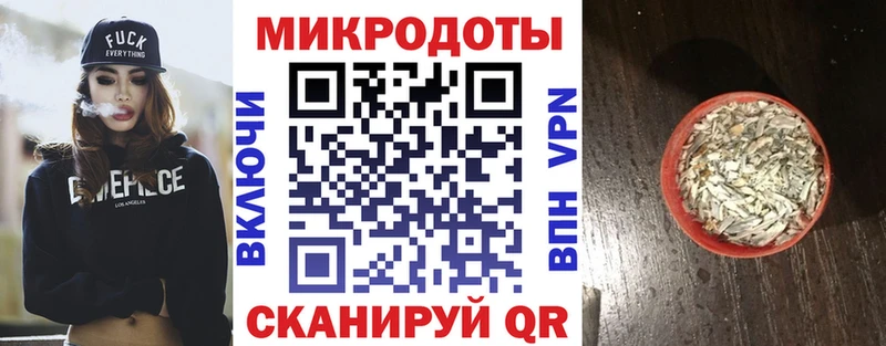 купить наркотики цена  Северобайкальск  mega онион  Псилоцибиновые грибы ЛСД 