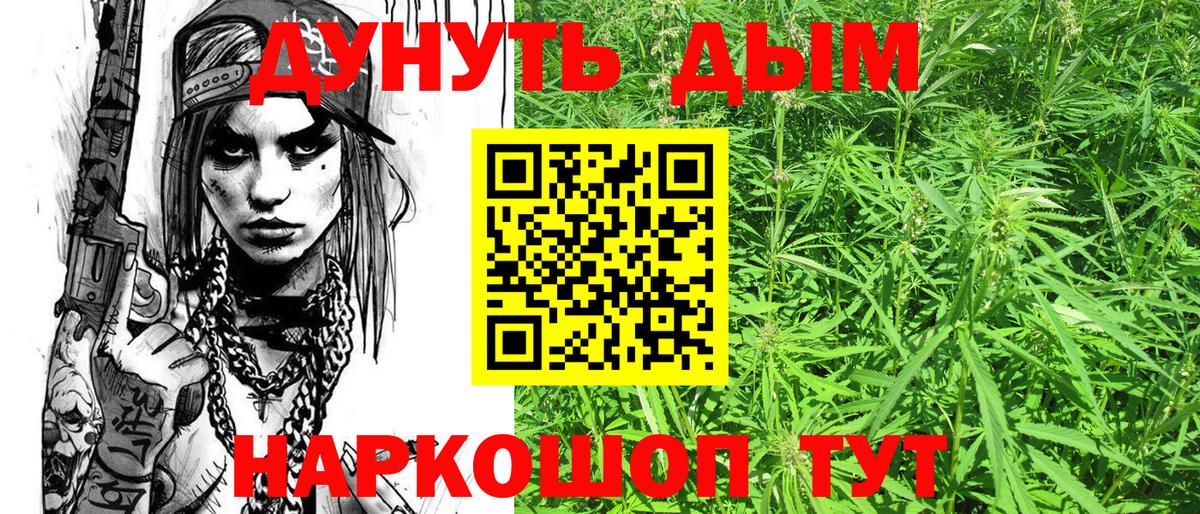 Шишки марихуана конопля  Марихуана сатива  Вход с VPN  Северобайкальск  Конопля план  Бошки марихуана LSD WEED 